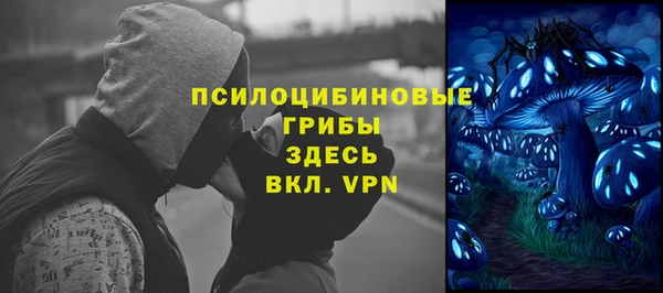 бошки Богородицк