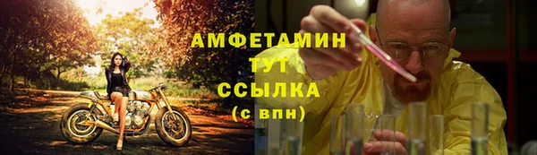 крисы Бородино