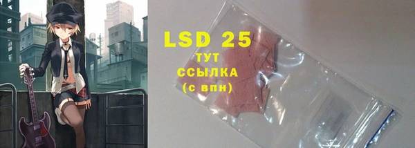 mdpv Тайга