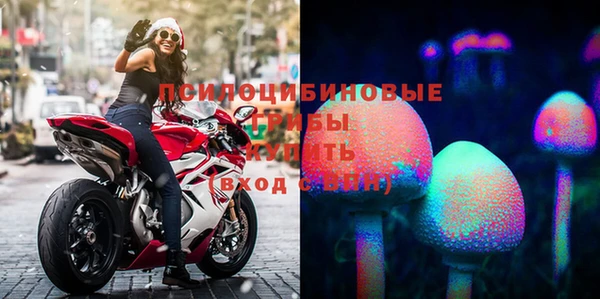 крисы Бородино