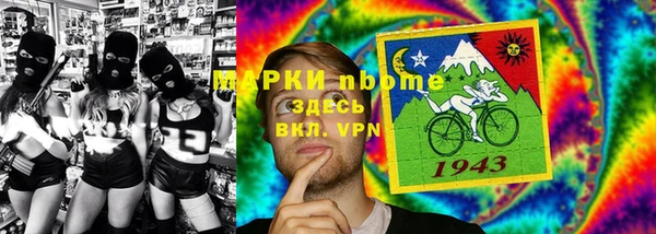 крисы Бородино