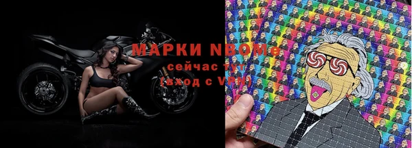 крисы Бородино