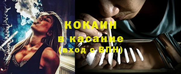крисы Бородино