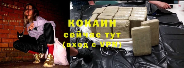 ПСИЛОЦИБИНОВЫЕ ГРИБЫ Богданович