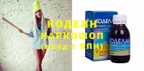 крисы Бородино