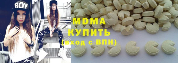 крисы Бородино